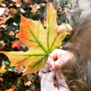 'What colors do you see?'