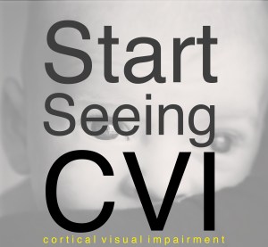 A call for CVI advocacy