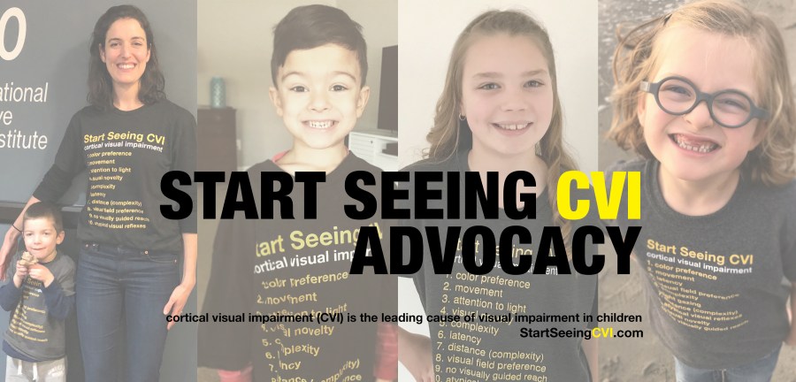 CVI Advocacy_bannercrop.jpg