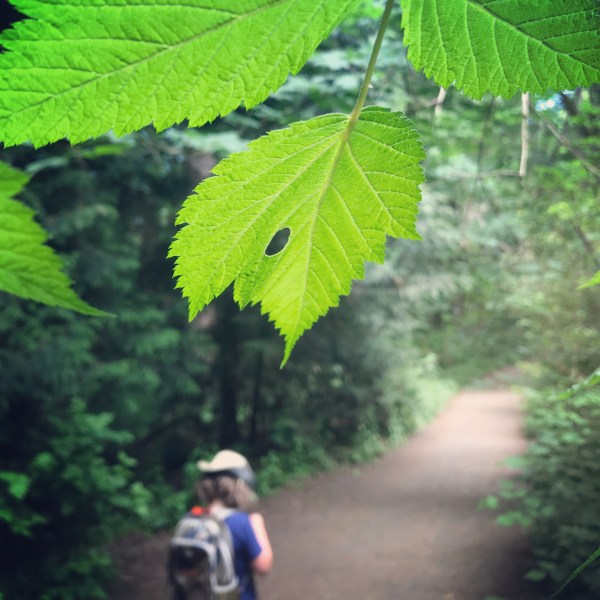 Hiking with a CVI perspective