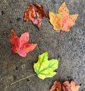 CVI modifications, it's the little things