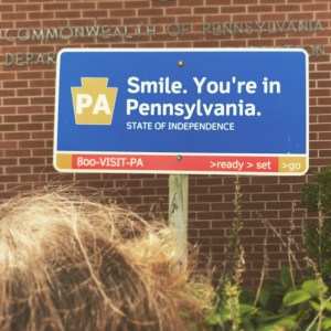 Seeing CVI while driving