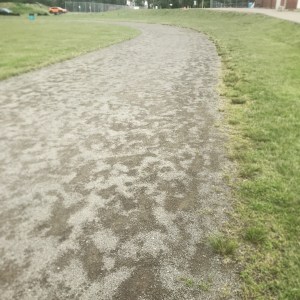 8A3B296B-D93C-4C9B-AC4C-45109525CE25