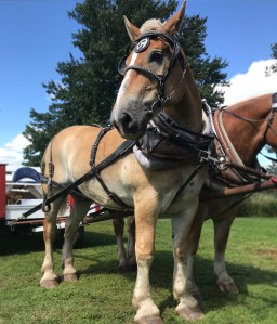 369A1C63-F808-4A4B-97B2-B0C5F7005F6B